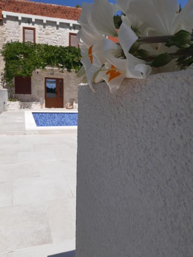 Villa Dragi *